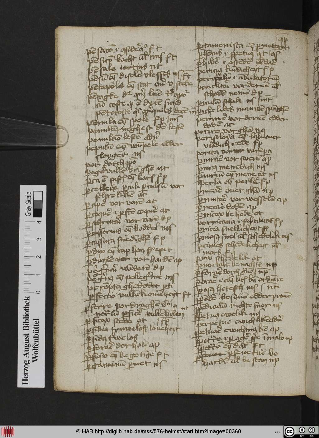 http://diglib.hab.de/mss/576-helmst/00360.jpg