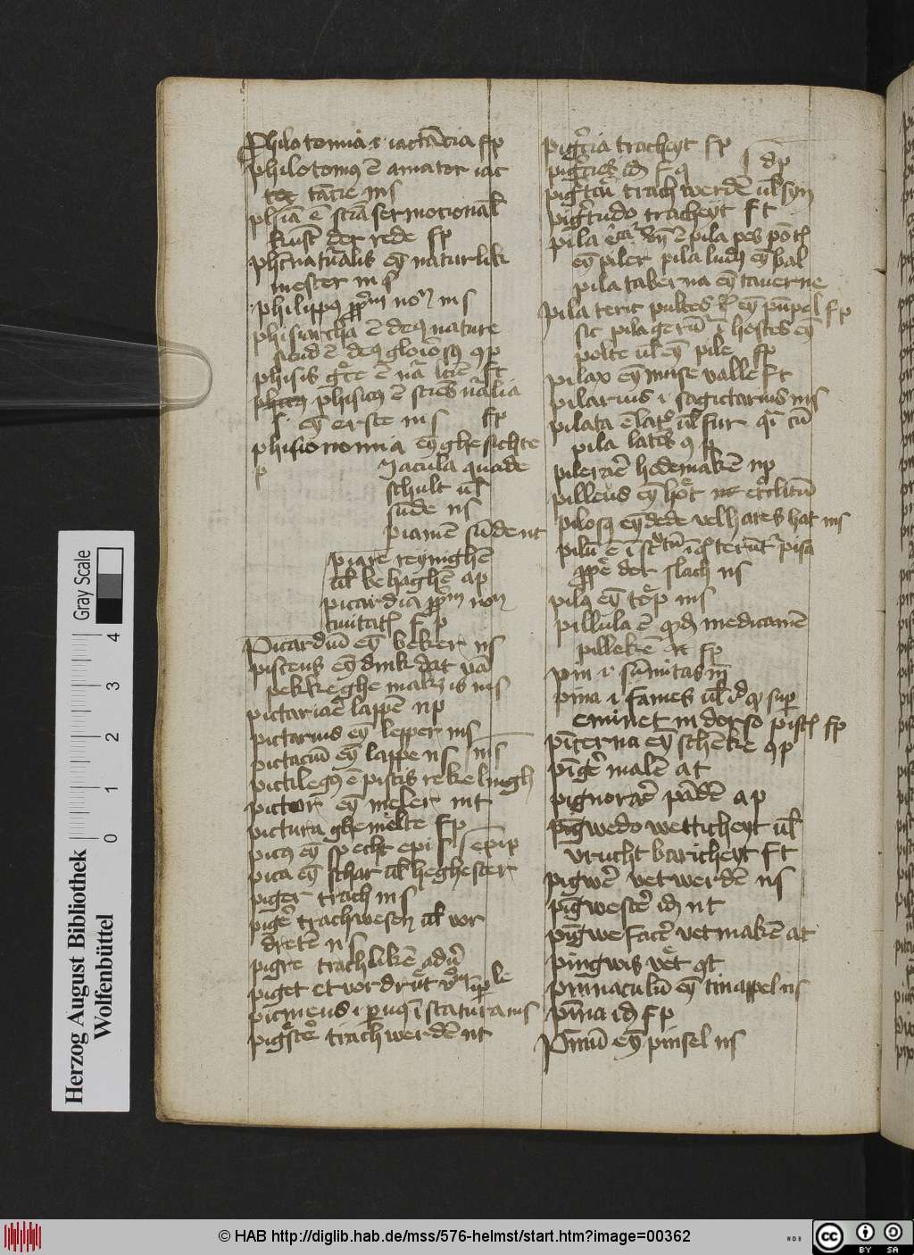 http://diglib.hab.de/mss/576-helmst/00362.jpg