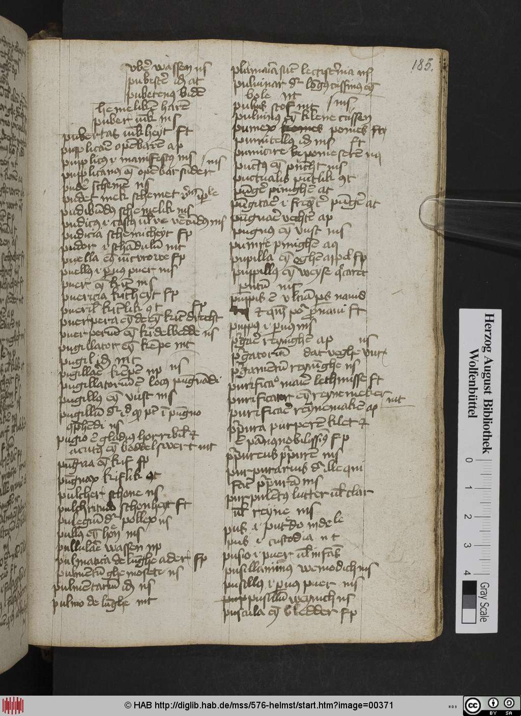 http://diglib.hab.de/mss/576-helmst/00371.jpg