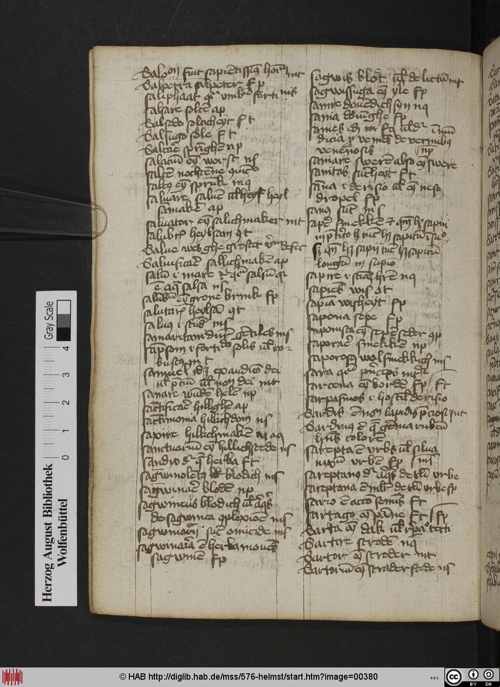 http://diglib.hab.de/mss/576-helmst/00380.jpg