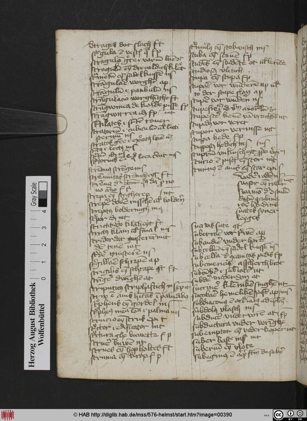 http://diglib.hab.de/mss/576-helmst/00390.jpg