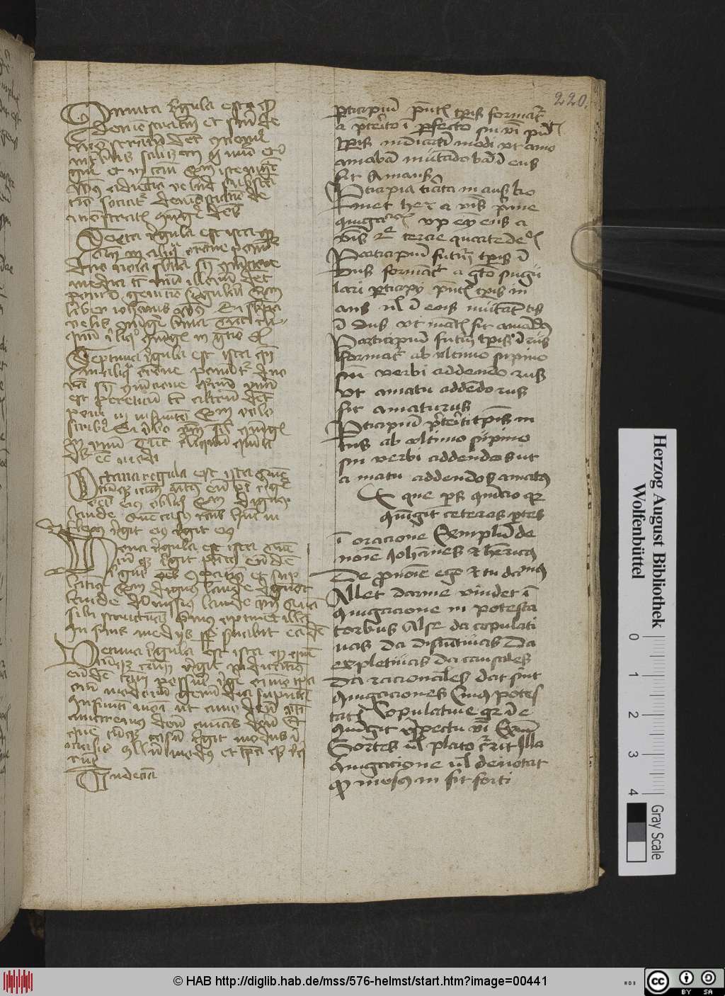 http://diglib.hab.de/mss/576-helmst/00441.jpg