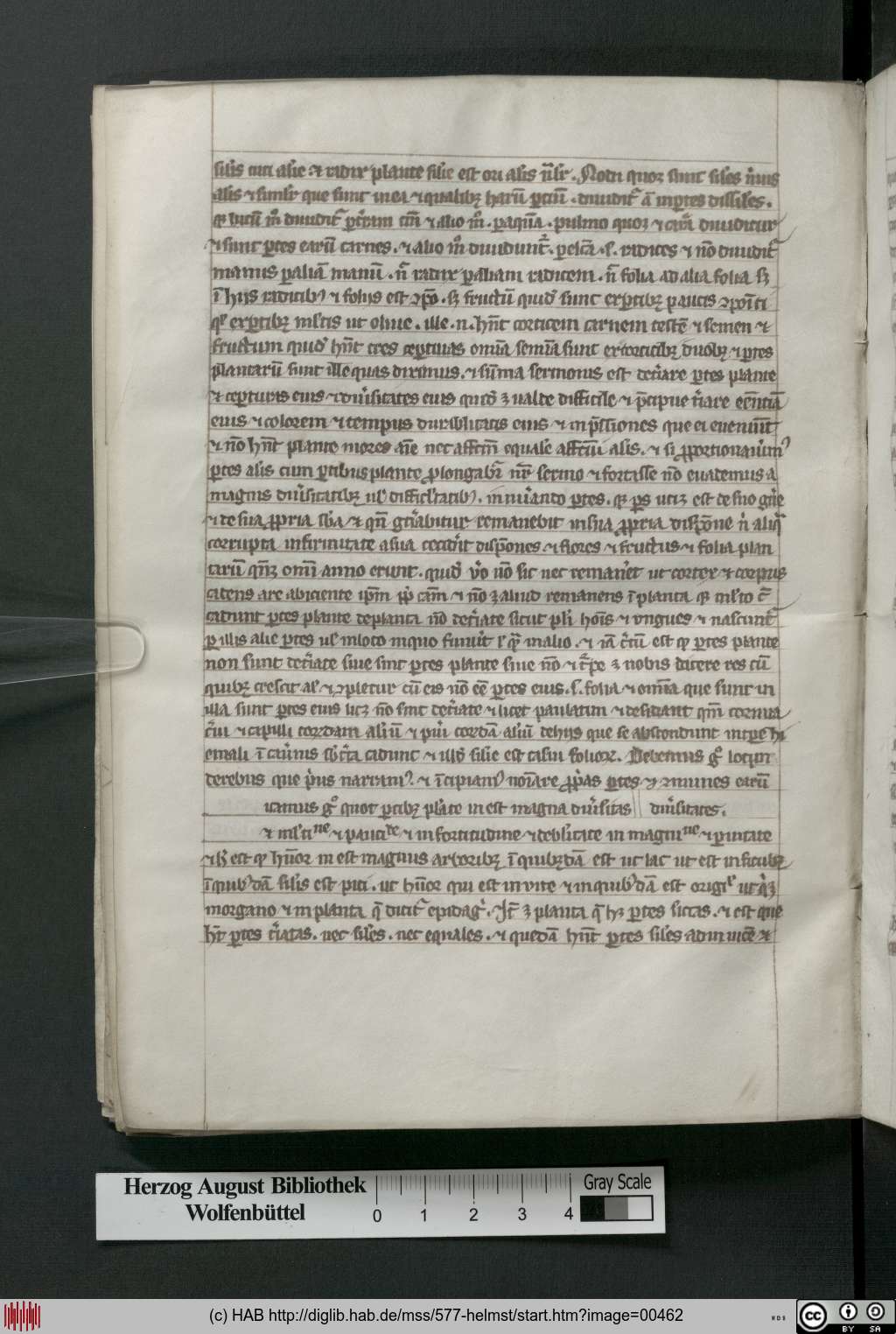 http://diglib.hab.de/mss/577-helmst/00462.jpg