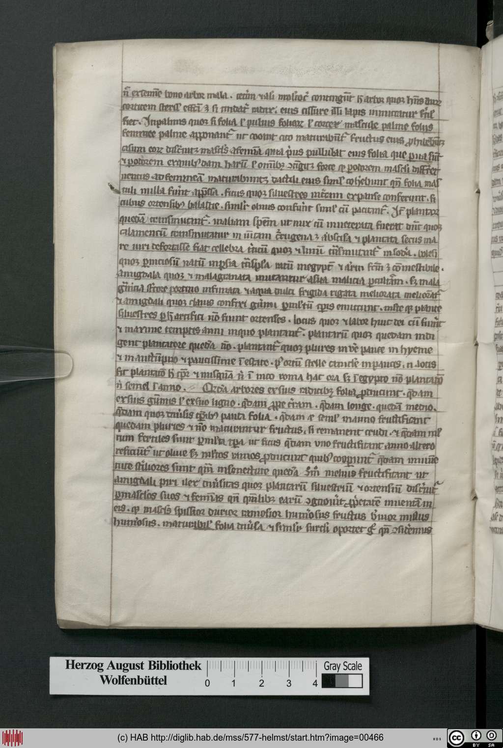 http://diglib.hab.de/mss/577-helmst/00466.jpg