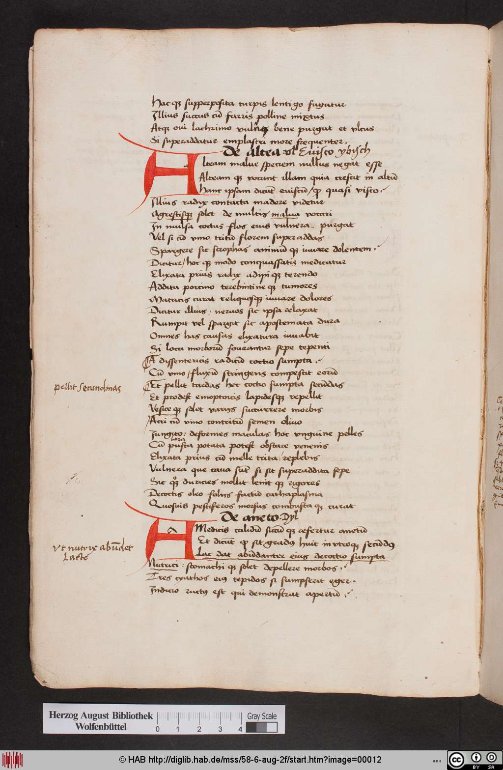 http://diglib.hab.de/mss/58-6-aug-2f/00012.jpg