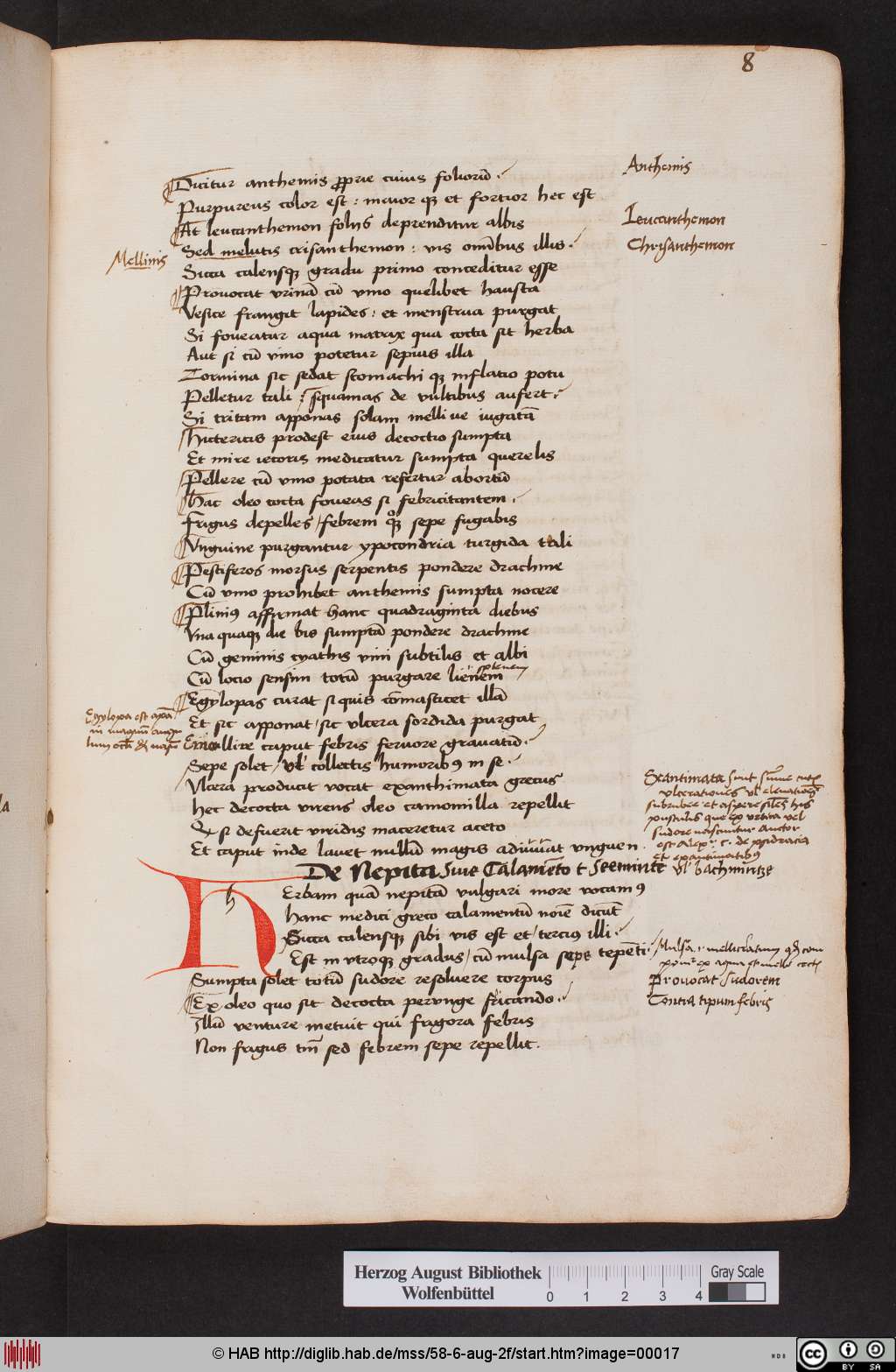 http://diglib.hab.de/mss/58-6-aug-2f/00017.jpg