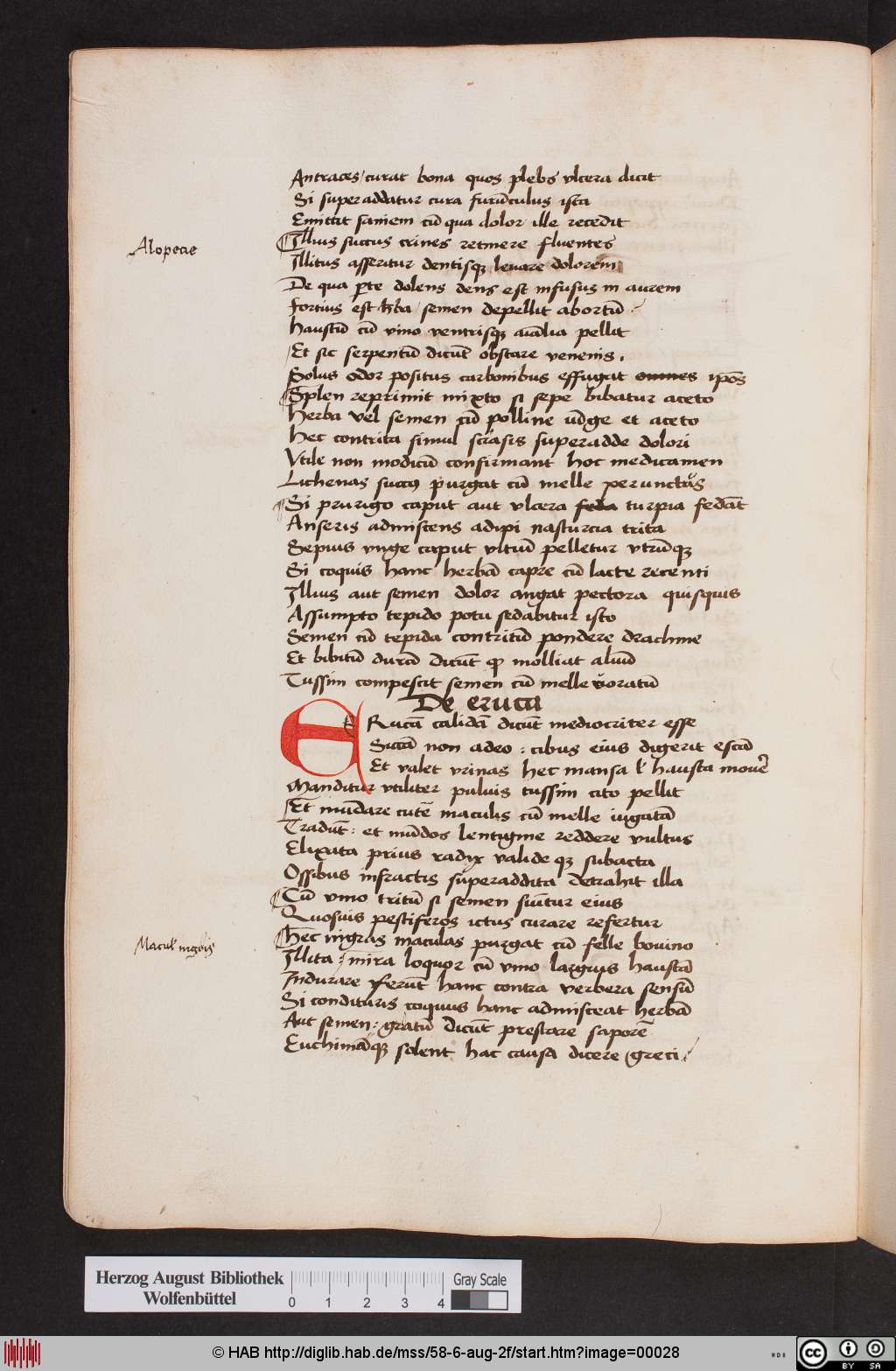 http://diglib.hab.de/mss/58-6-aug-2f/00028.jpg