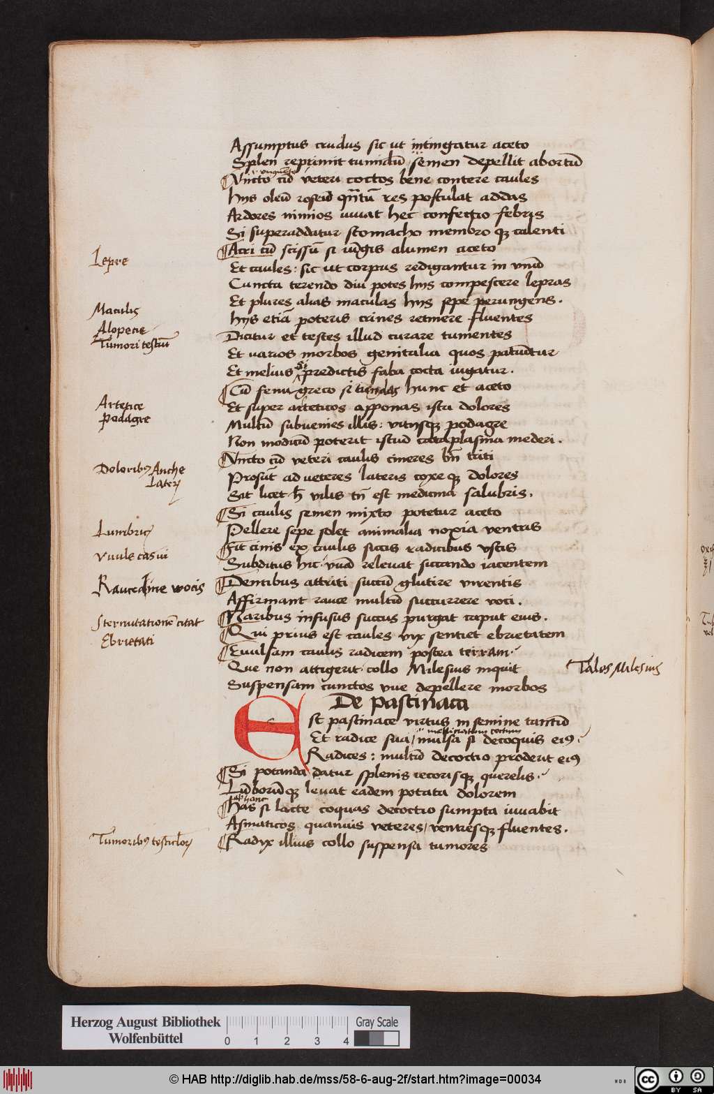 http://diglib.hab.de/mss/58-6-aug-2f/00034.jpg