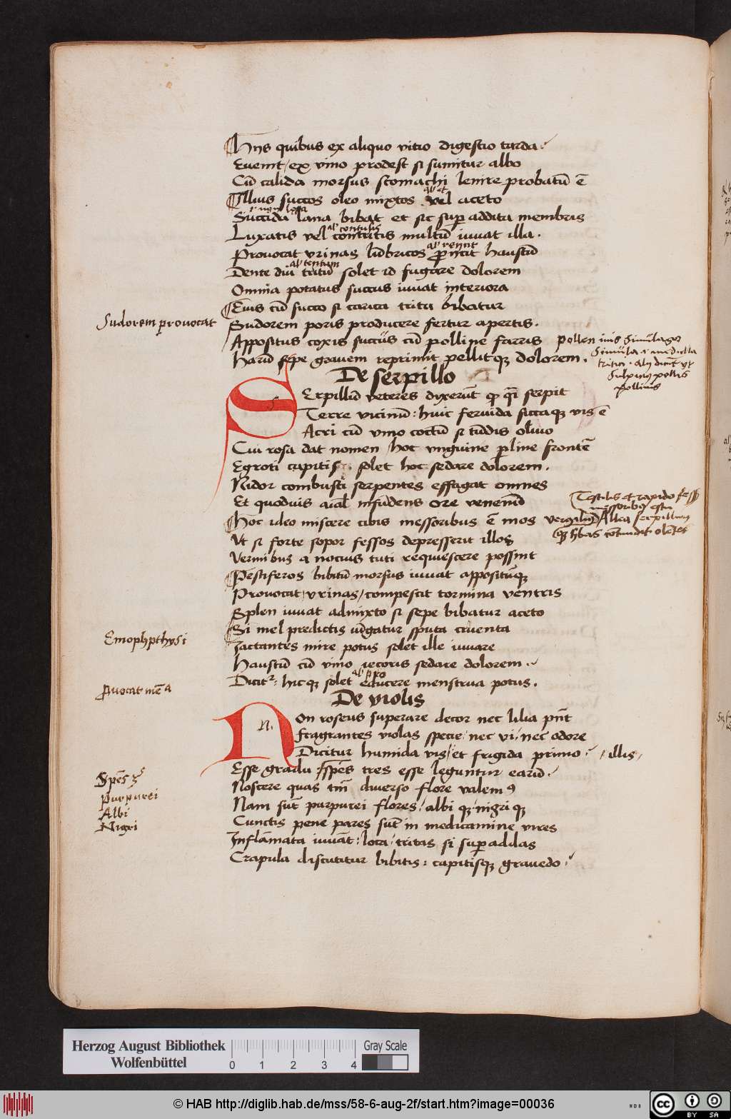 http://diglib.hab.de/mss/58-6-aug-2f/00036.jpg