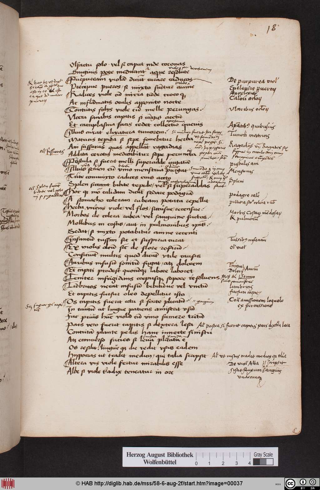 http://diglib.hab.de/mss/58-6-aug-2f/00037.jpg