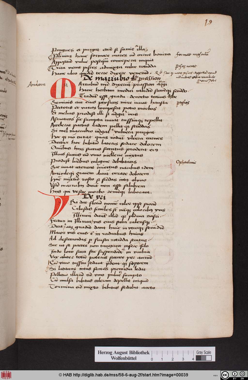 http://diglib.hab.de/mss/58-6-aug-2f/00039.jpg