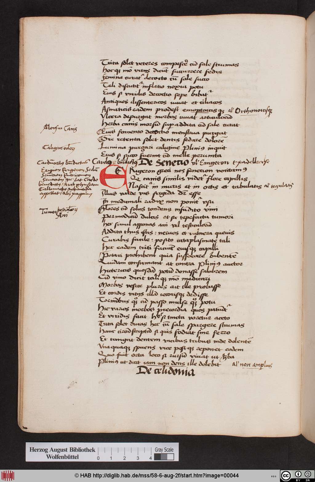 http://diglib.hab.de/mss/58-6-aug-2f/00044.jpg