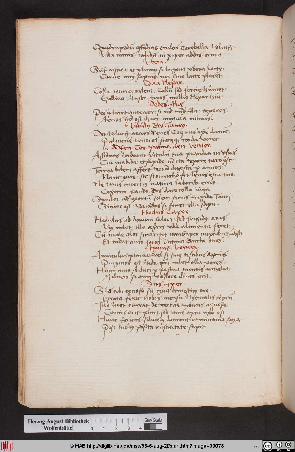 http://diglib.hab.de/mss/58-6-aug-2f/00078.jpg