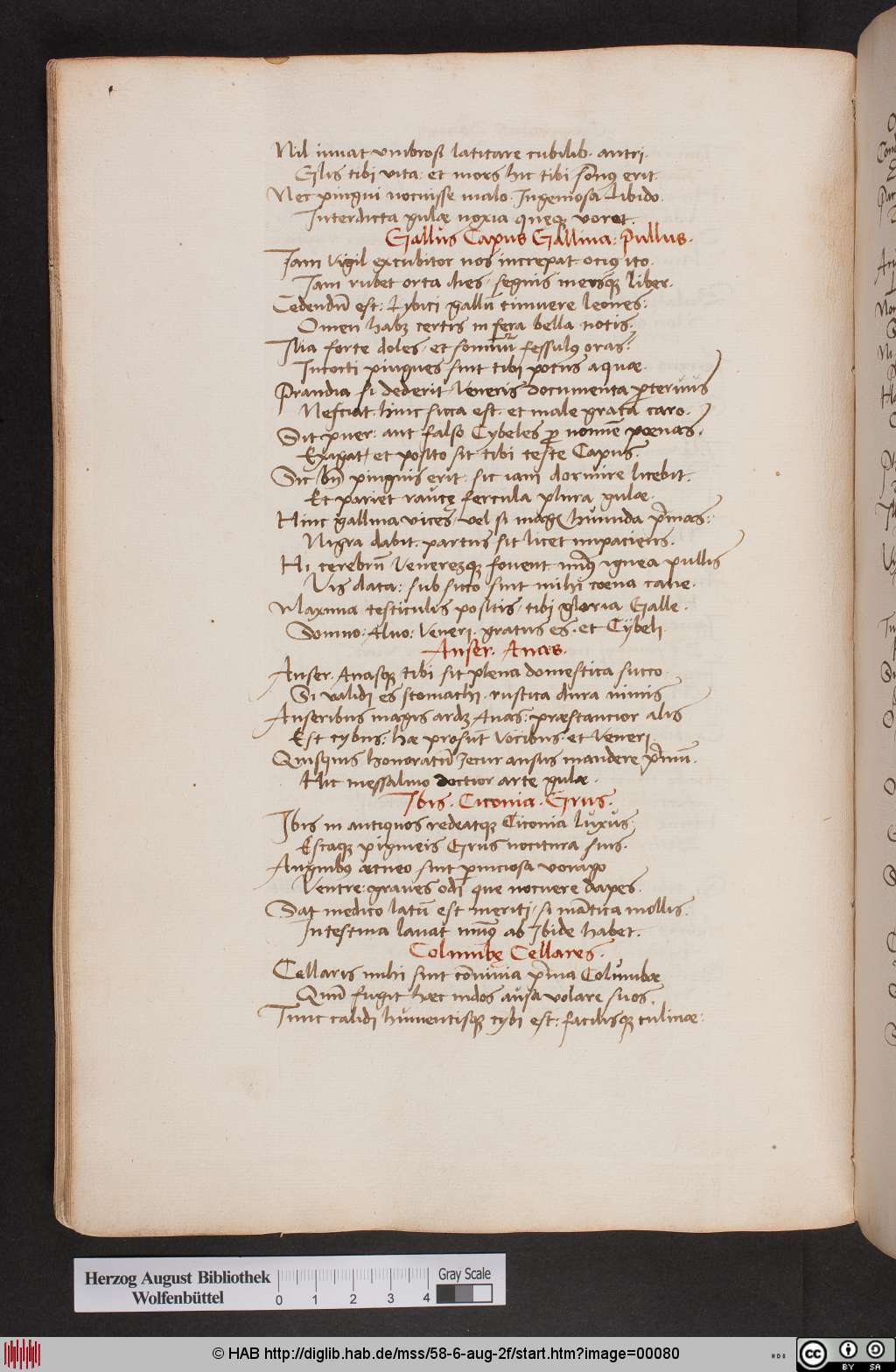 http://diglib.hab.de/mss/58-6-aug-2f/00080.jpg
