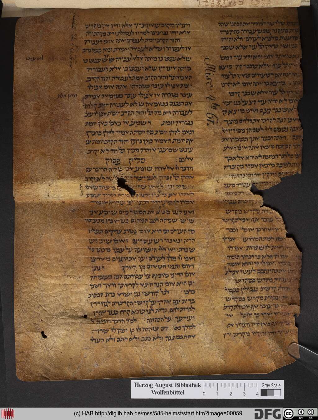 http://diglib.hab.de/mss/585-helmst/00059.jpg
