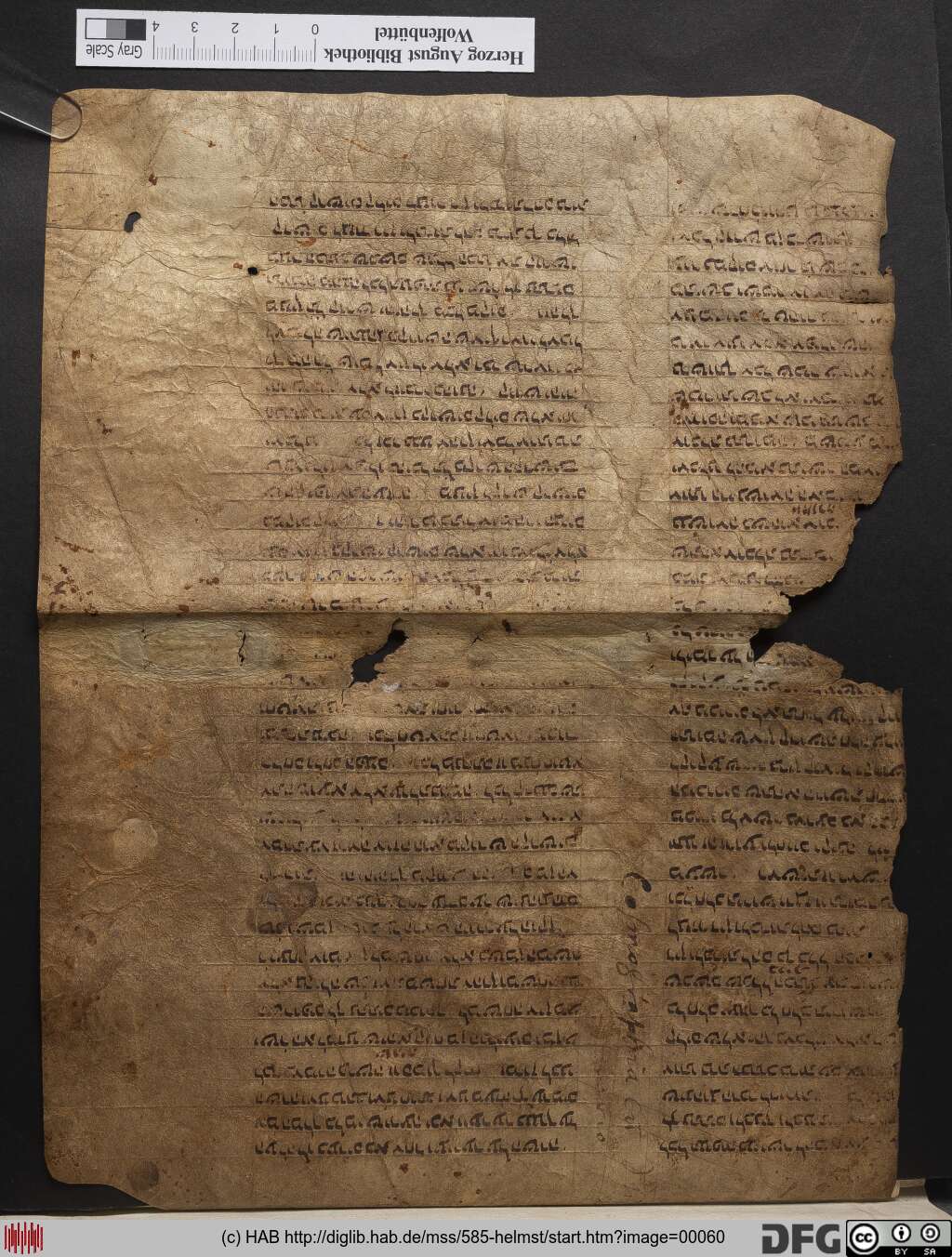 http://diglib.hab.de/mss/585-helmst/00060.jpg