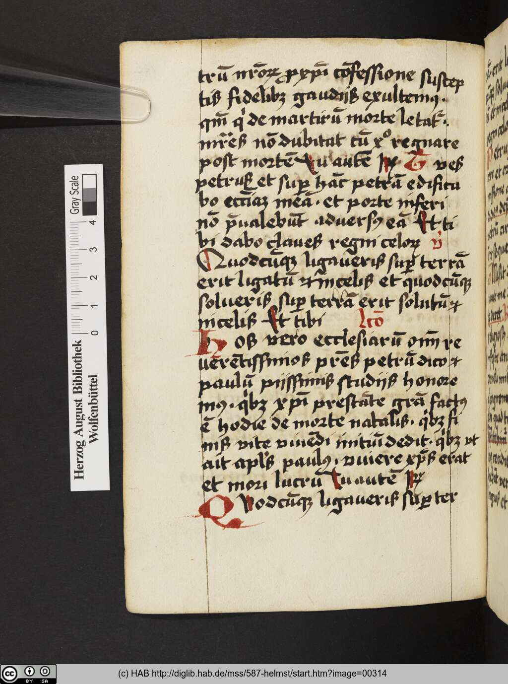 http://diglib.hab.de/mss/587-helmst/00314.jpg