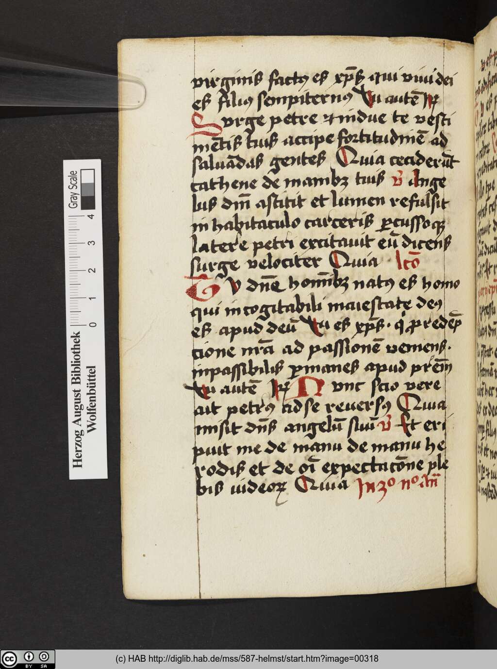 http://diglib.hab.de/mss/587-helmst/00318.jpg