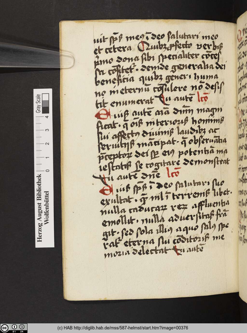 http://diglib.hab.de/mss/587-helmst/00376.jpg