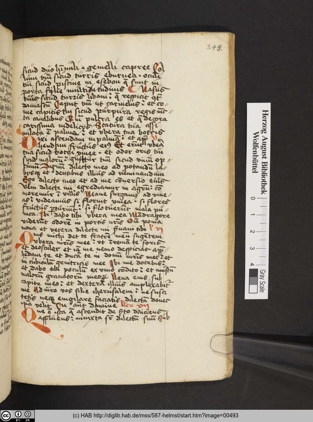 http://diglib.hab.de/mss/587-helmst/00493.jpg