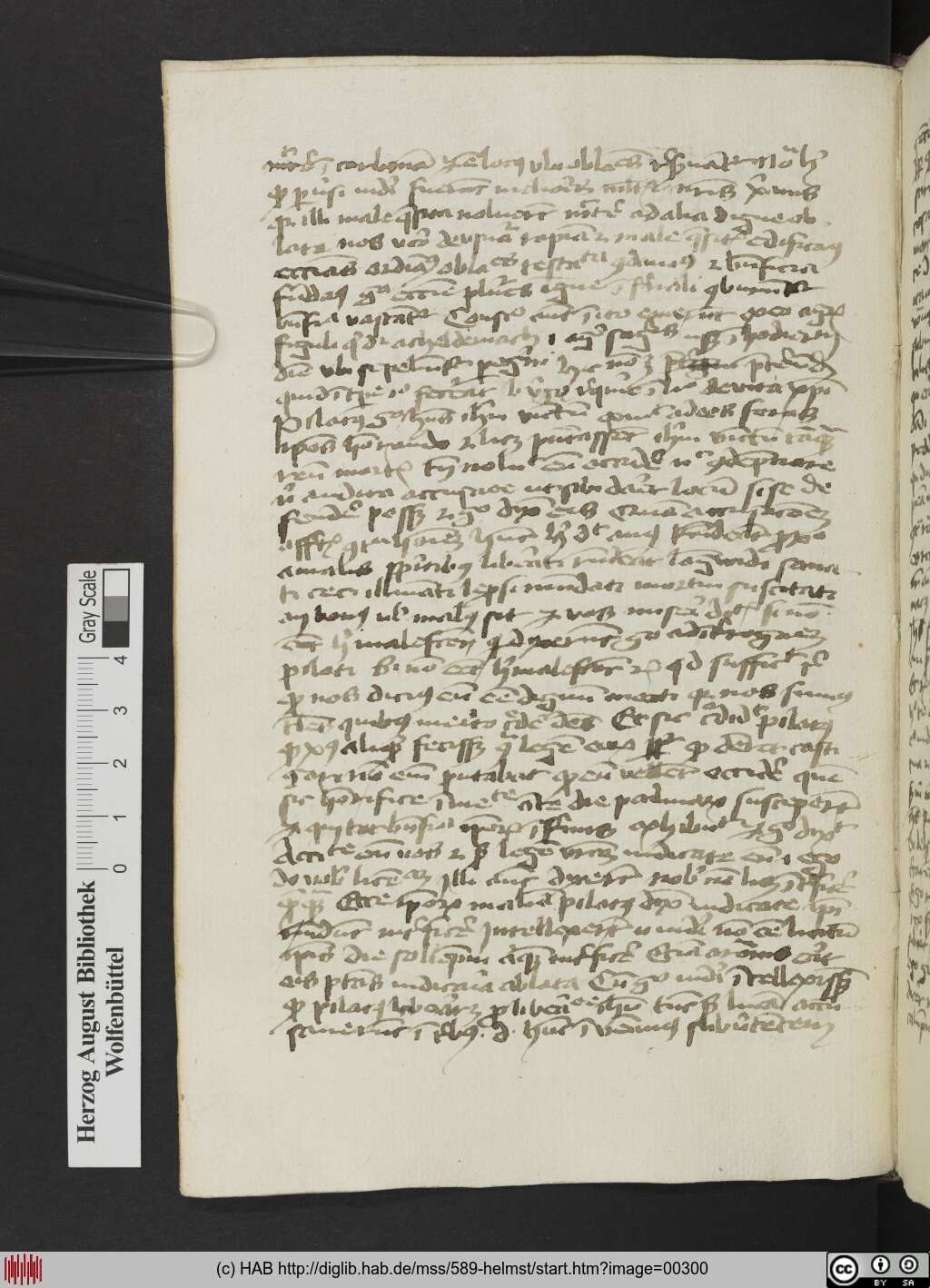 http://diglib.hab.de/mss/589-helmst/00300.jpg