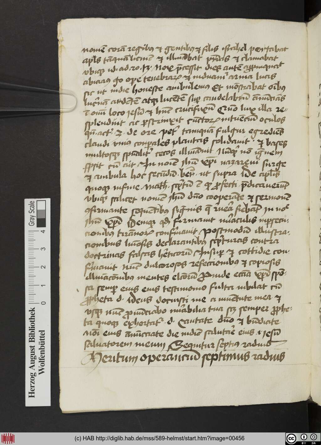 http://diglib.hab.de/mss/589-helmst/00456.jpg