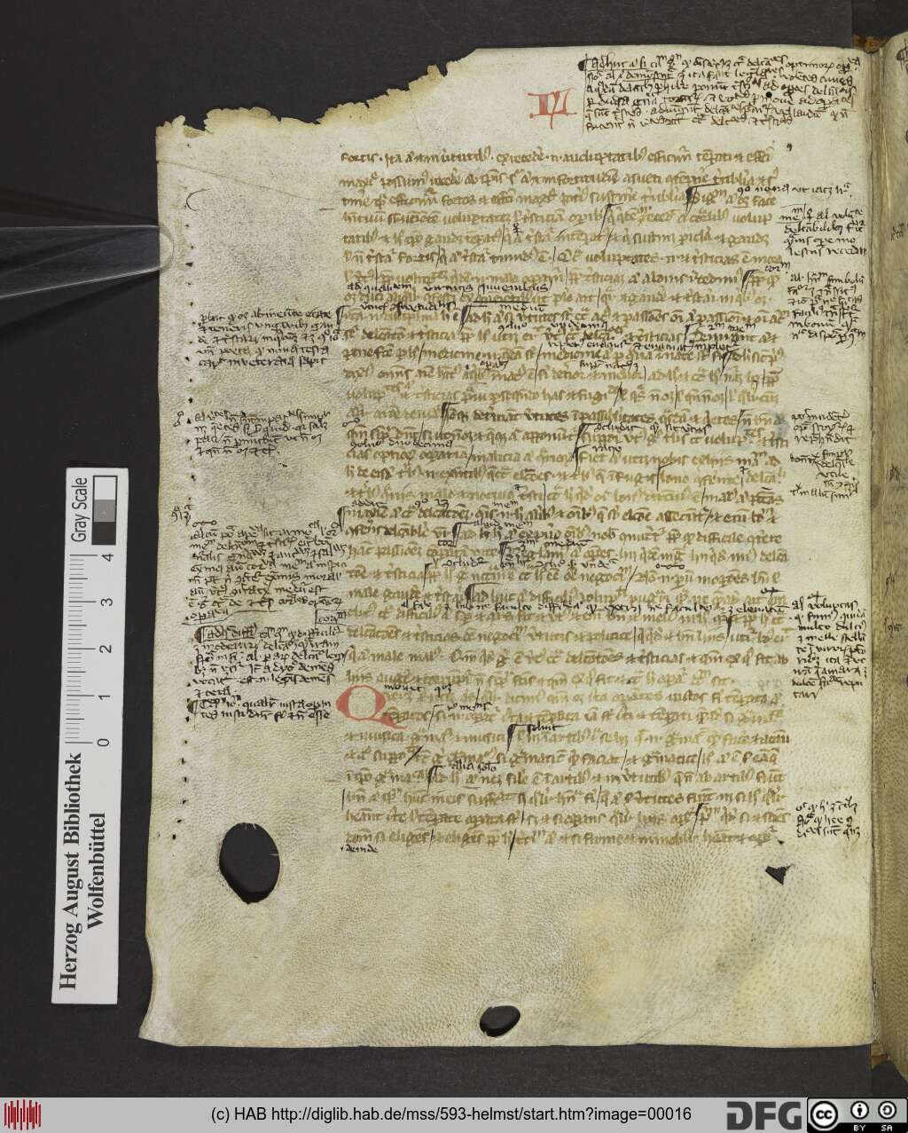http://diglib.hab.de/mss/593-helmst/00016.jpg