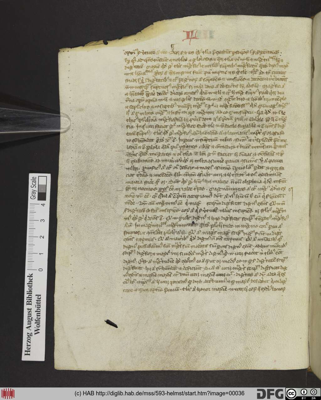 http://diglib.hab.de/mss/593-helmst/00036.jpg