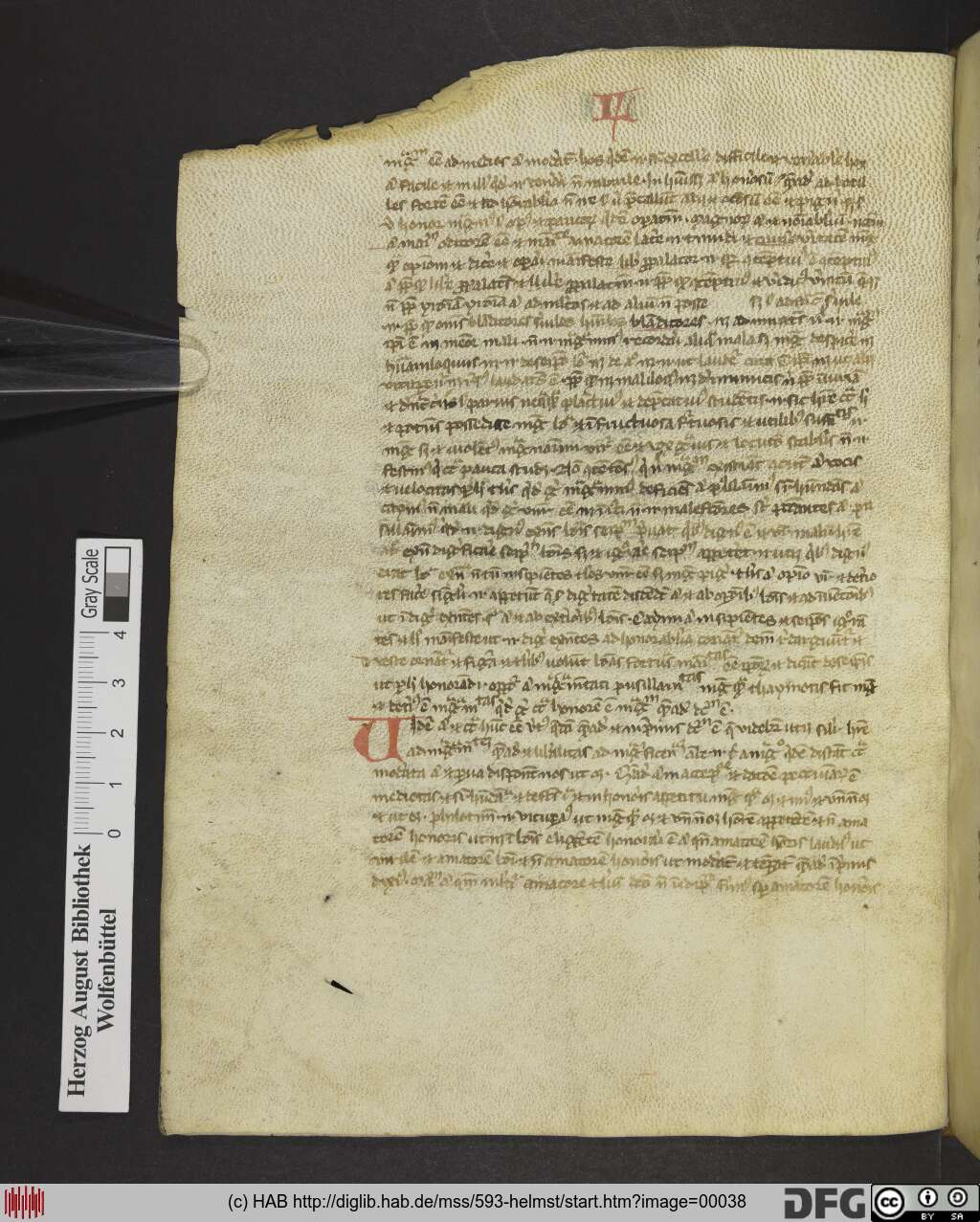 http://diglib.hab.de/mss/593-helmst/00038.jpg