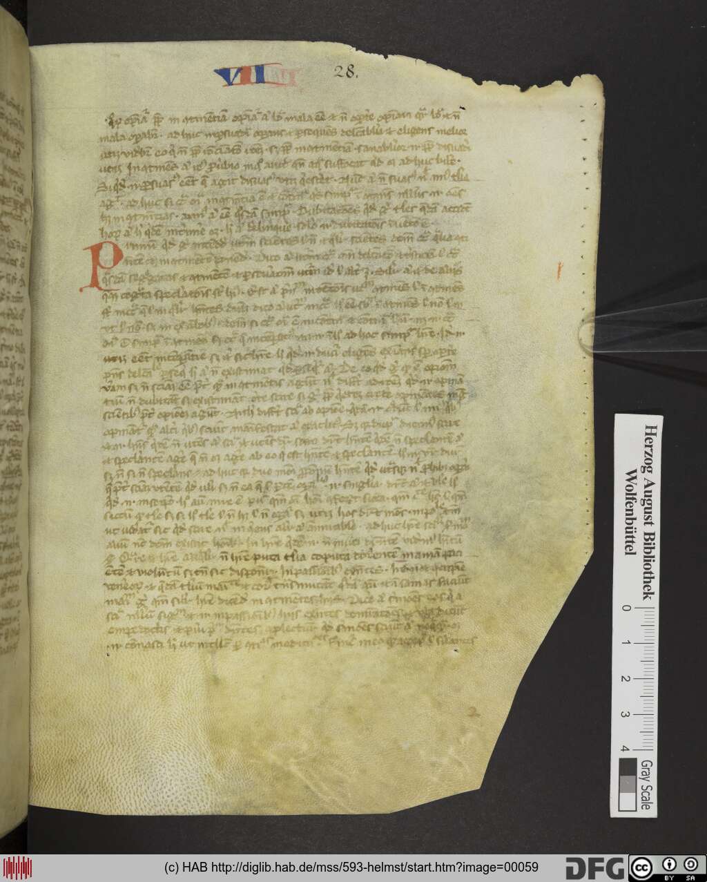 http://diglib.hab.de/mss/593-helmst/00059.jpg
