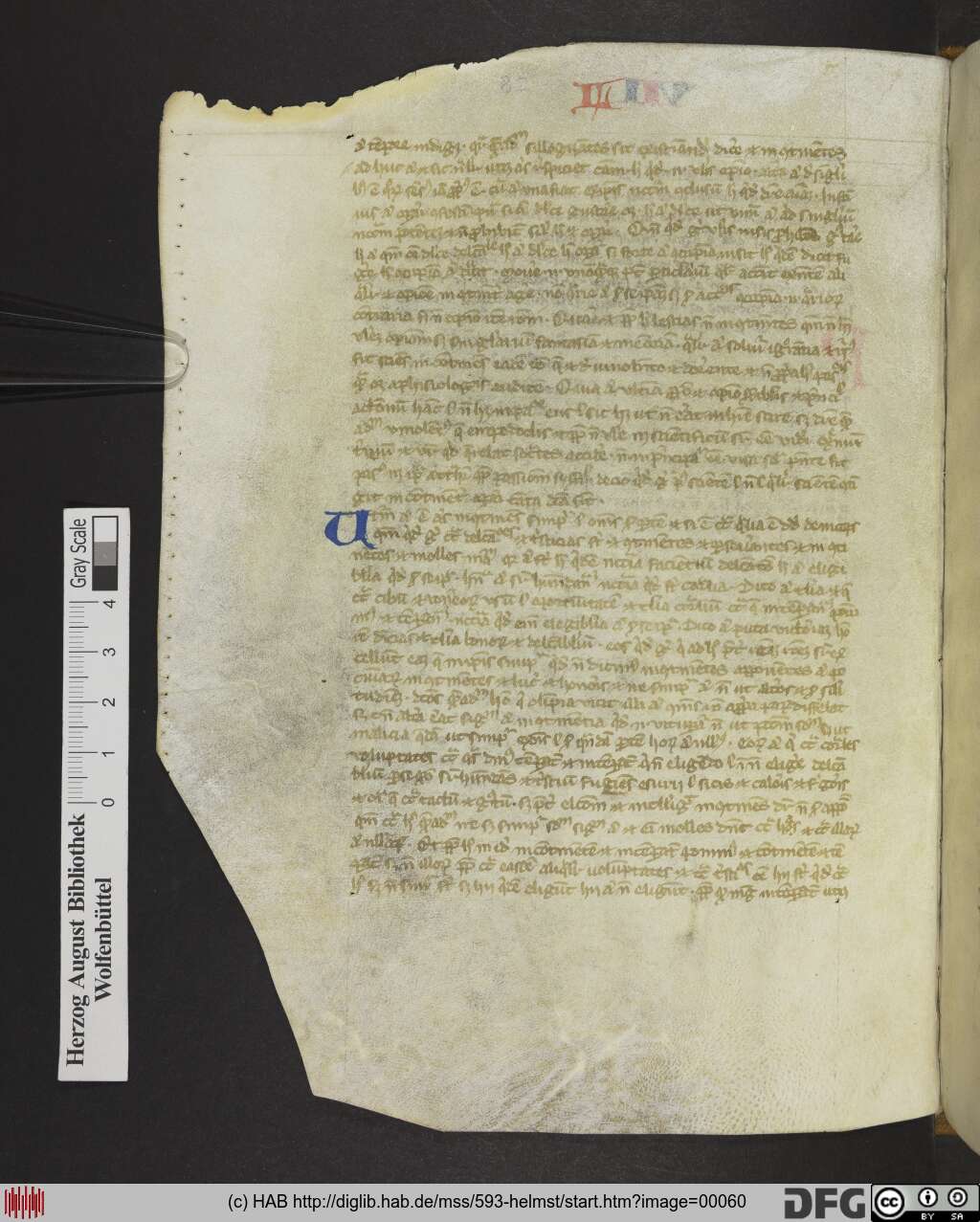 http://diglib.hab.de/mss/593-helmst/00060.jpg