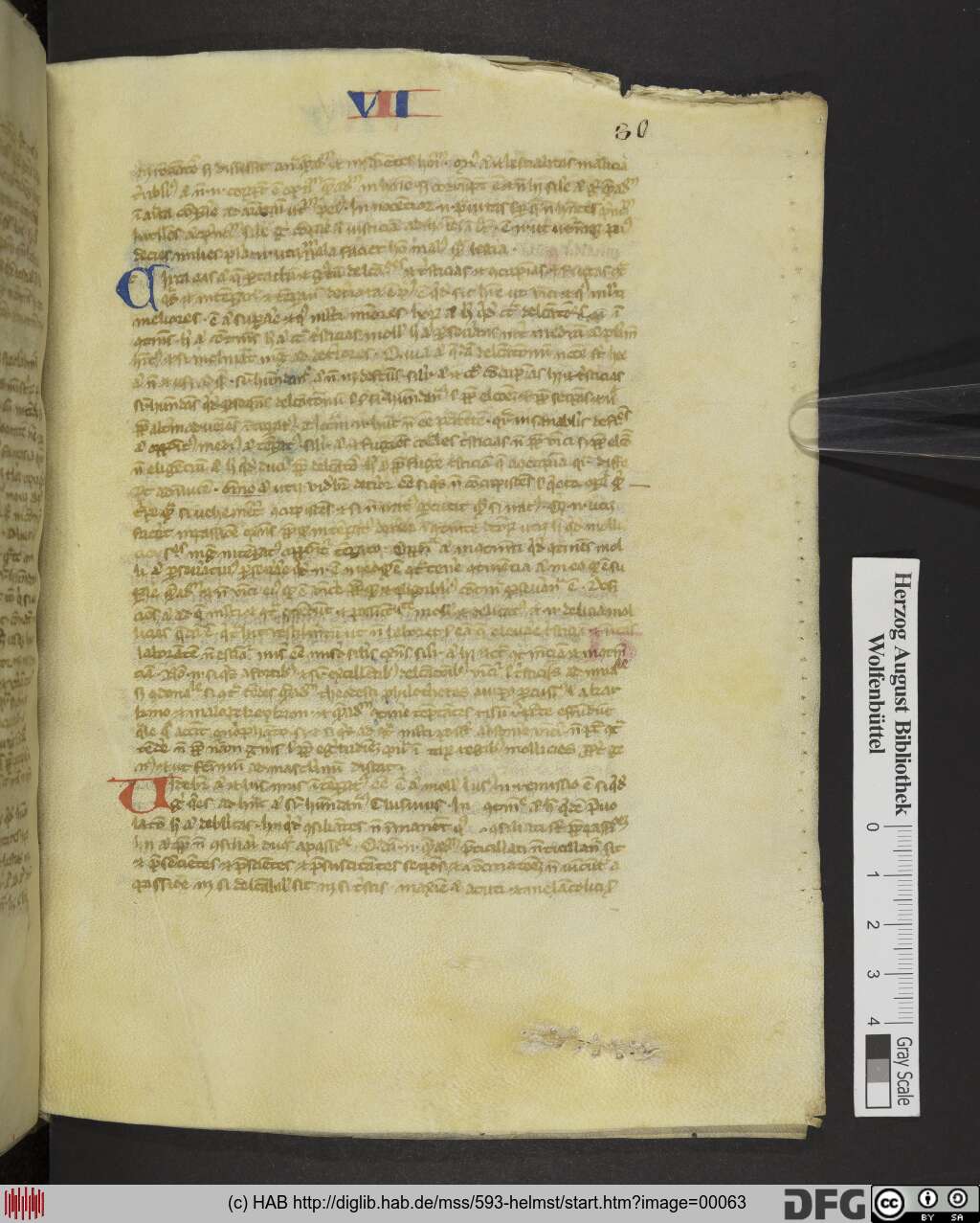 http://diglib.hab.de/mss/593-helmst/00063.jpg