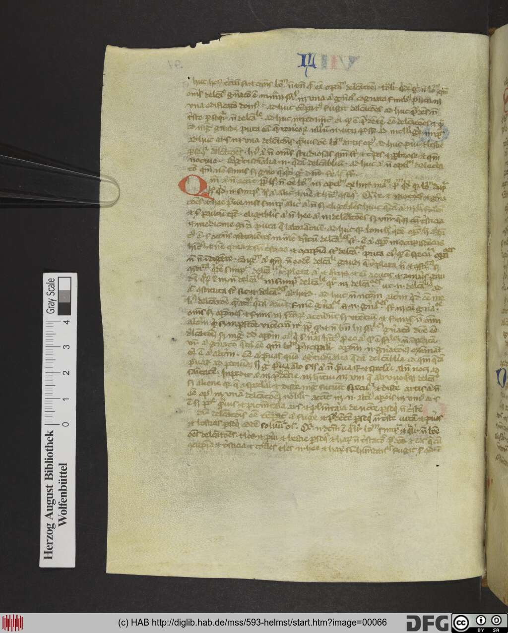 http://diglib.hab.de/mss/593-helmst/00066.jpg