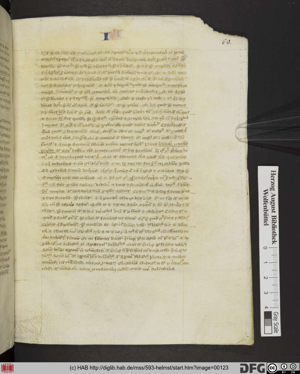 http://diglib.hab.de/mss/593-helmst/00123.jpg