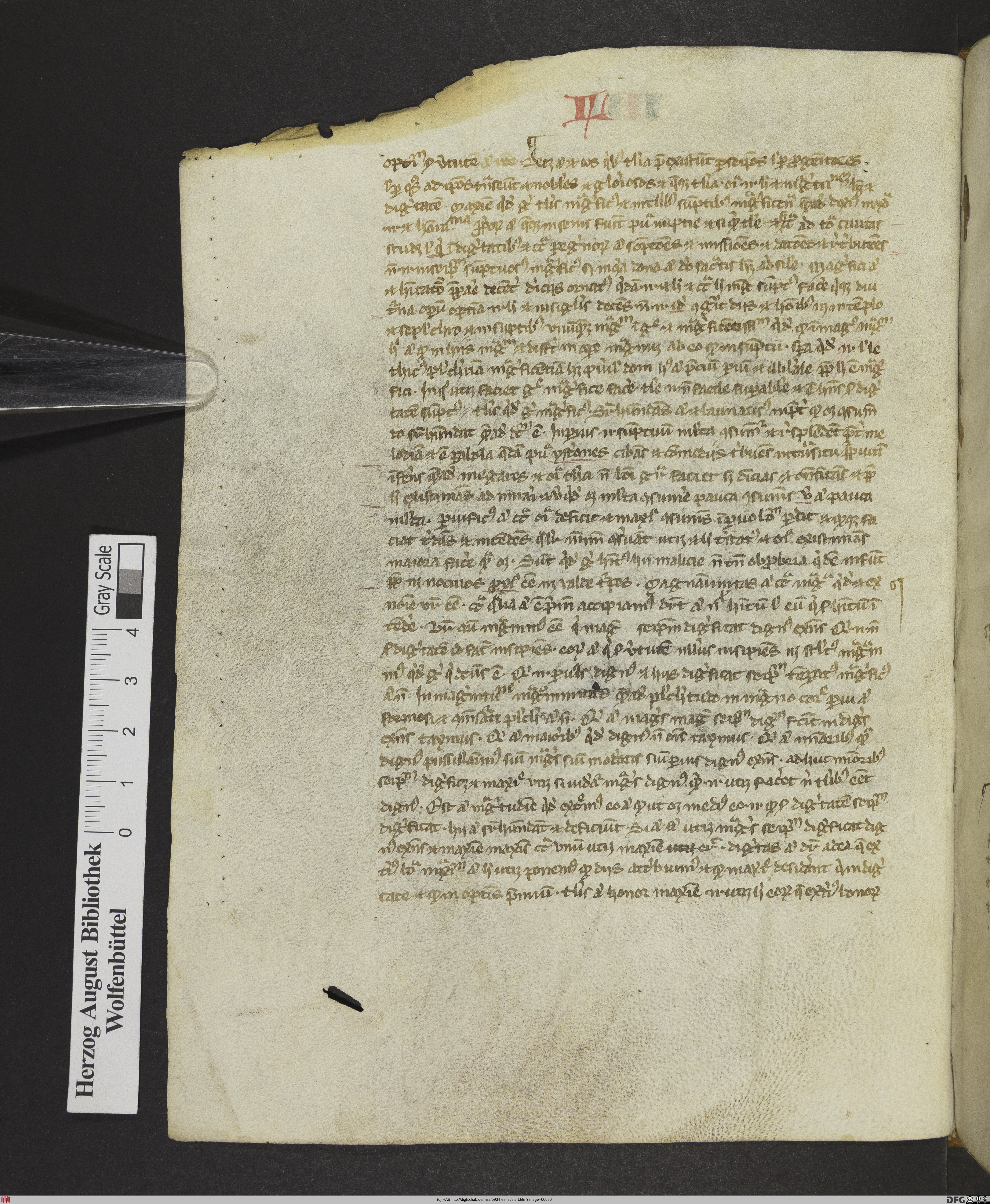 http://diglib.hab.de/mss/593-helmst/max/00036.jpg