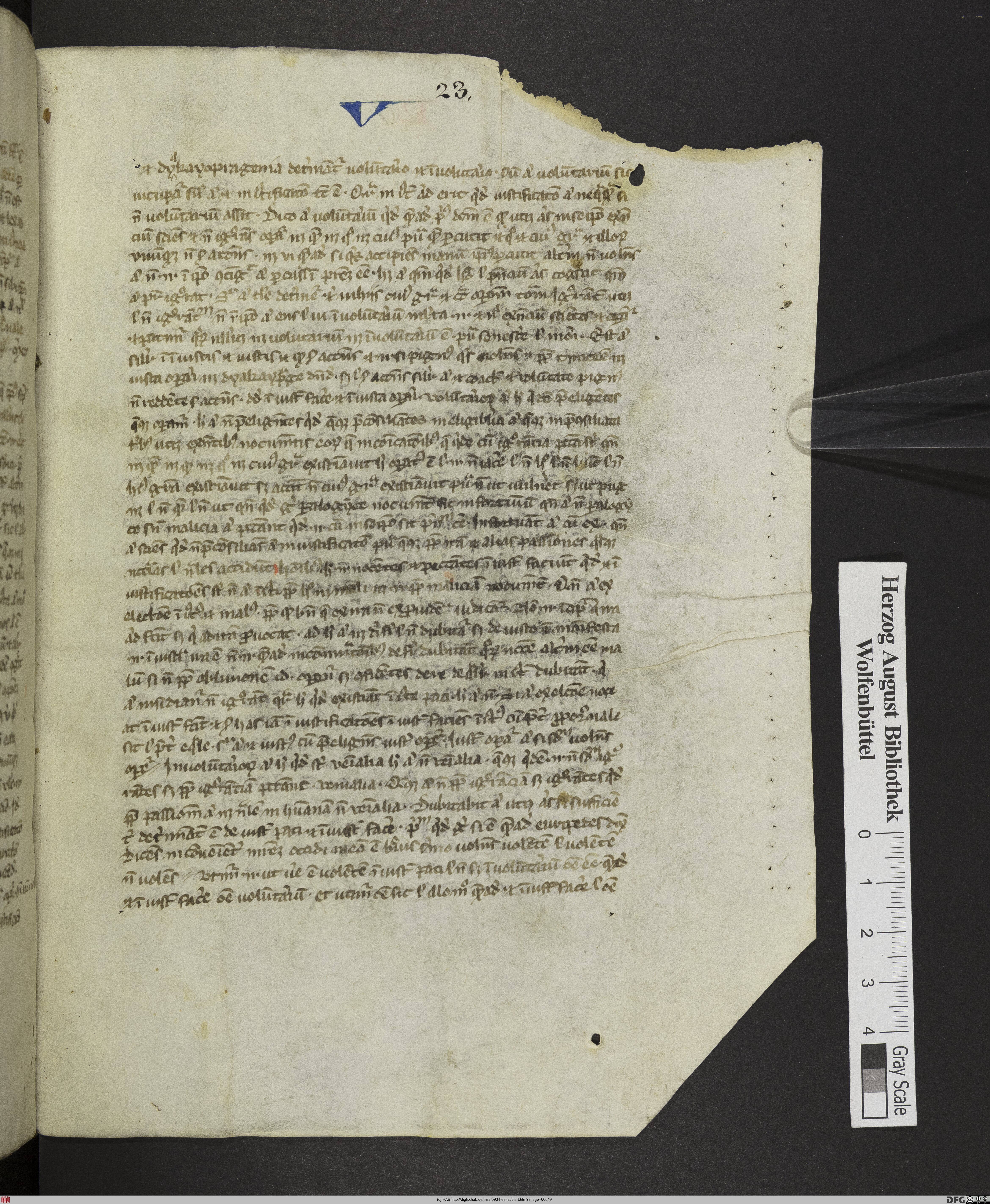 http://diglib.hab.de/mss/593-helmst/max/00049.jpg