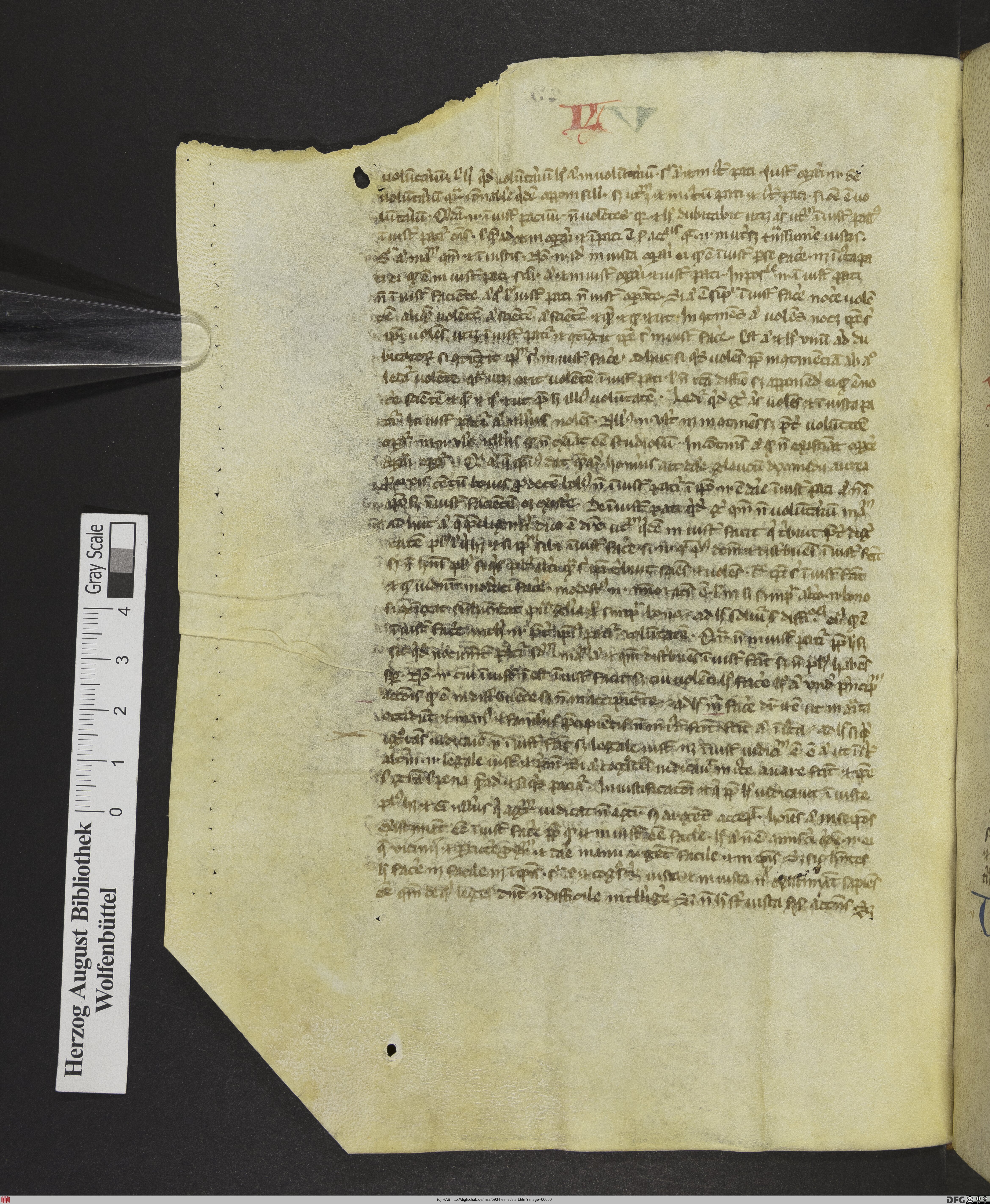 http://diglib.hab.de/mss/593-helmst/max/00050.jpg