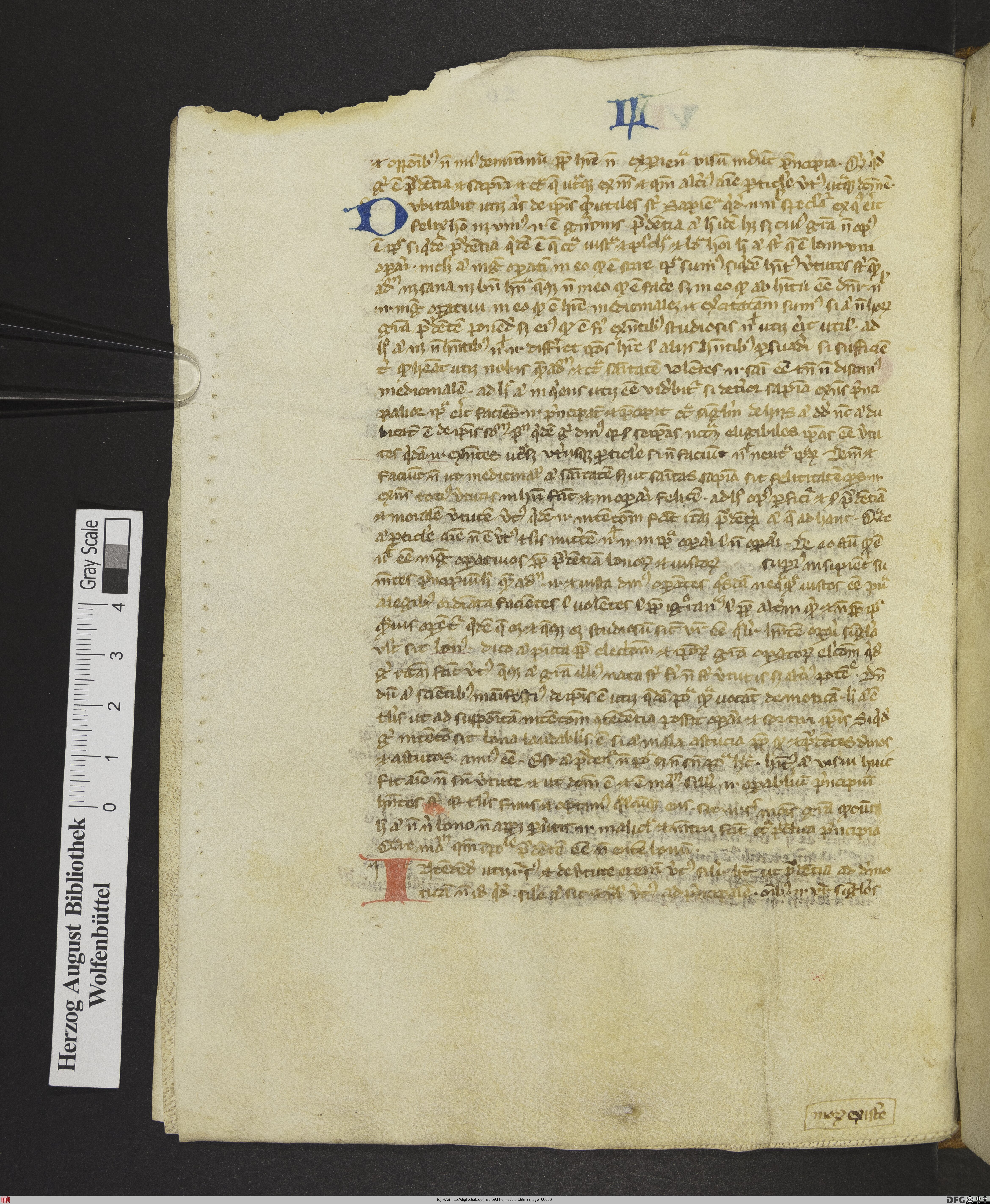 http://diglib.hab.de/mss/593-helmst/max/00056.jpg