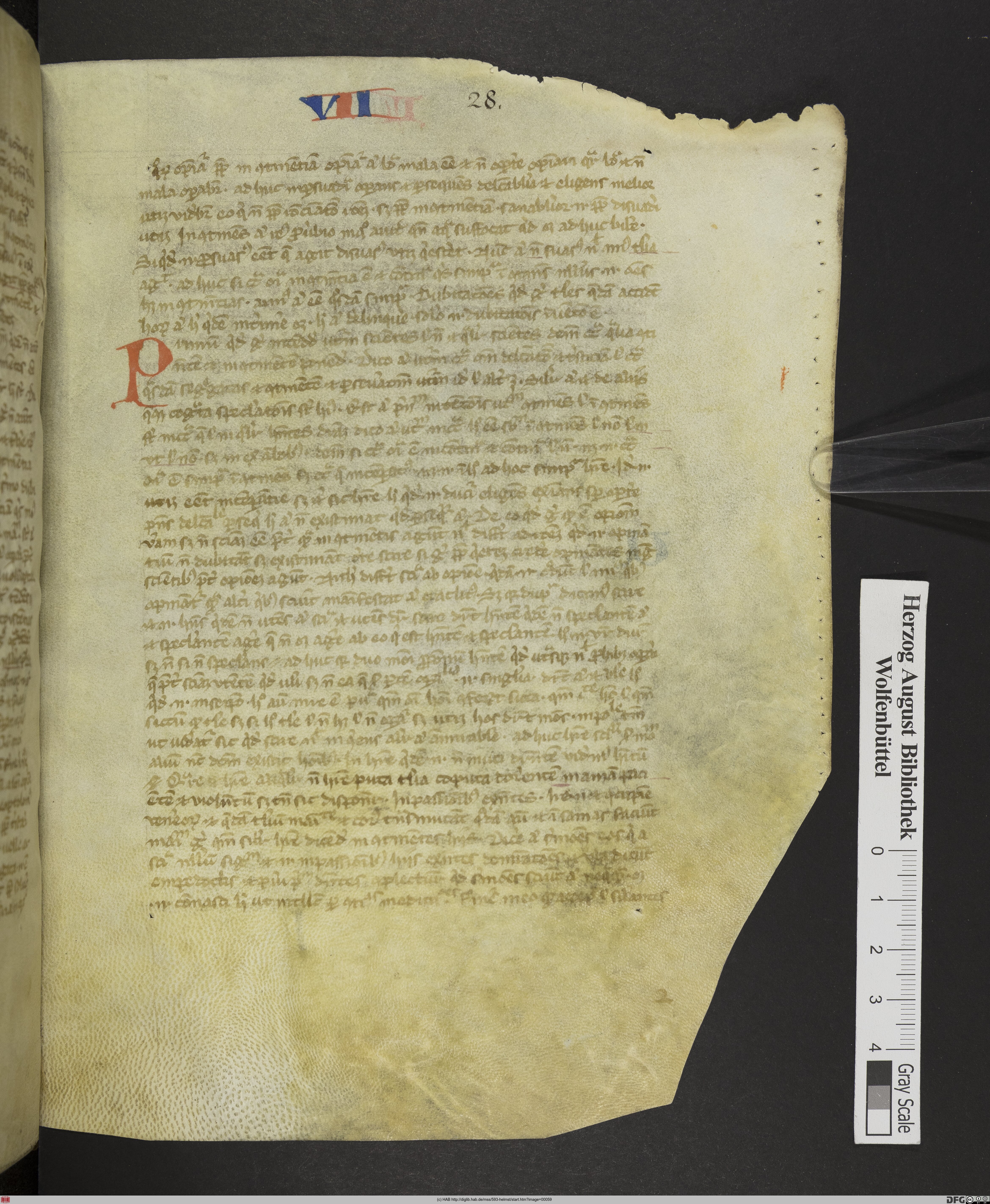 http://diglib.hab.de/mss/593-helmst/max/00059.jpg
