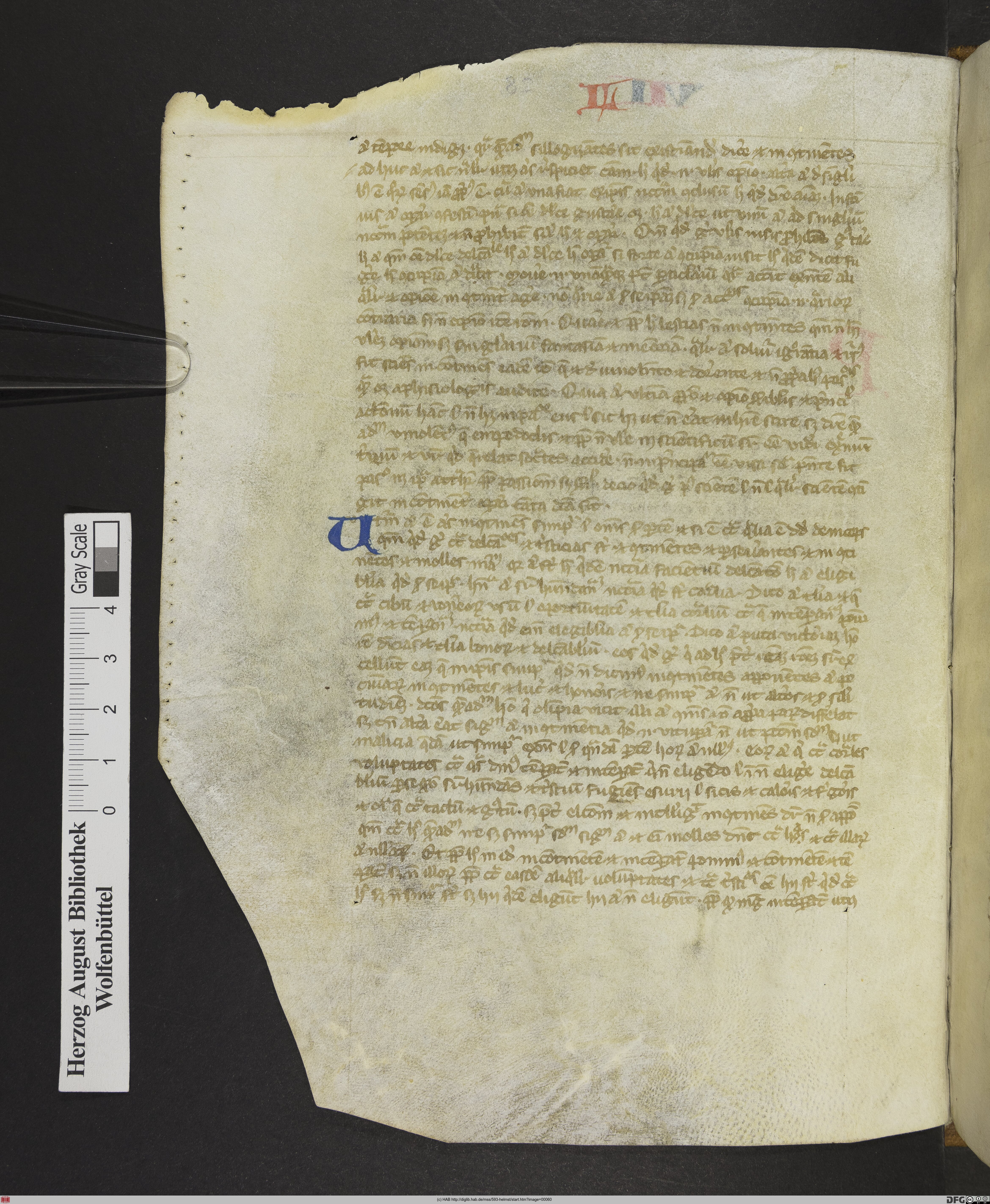 http://diglib.hab.de/mss/593-helmst/max/00060.jpg