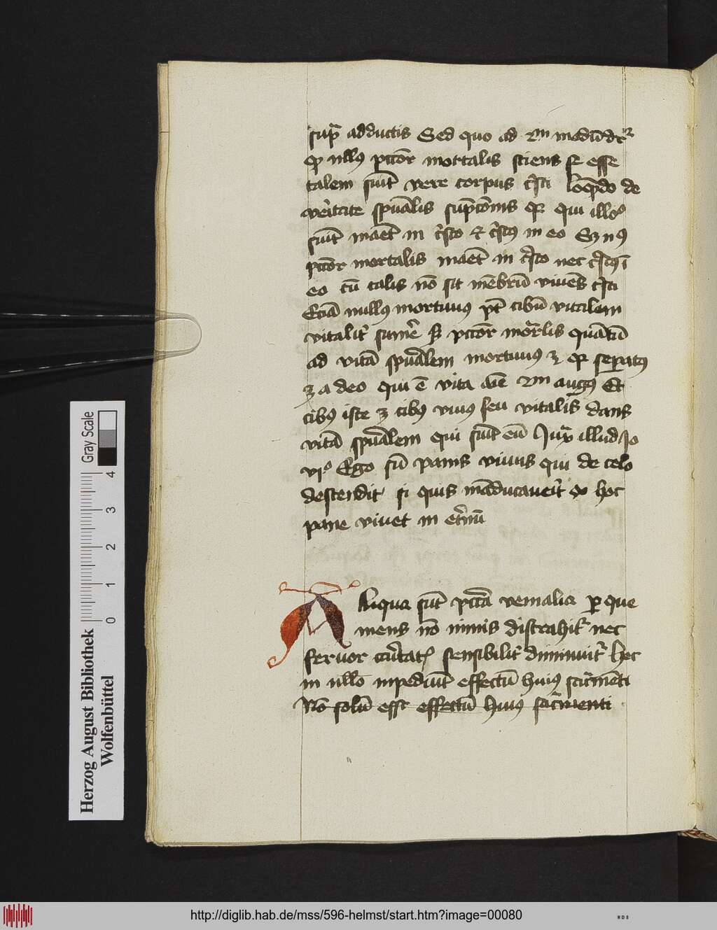 http://diglib.hab.de/mss/596-helmst/00080.jpg
