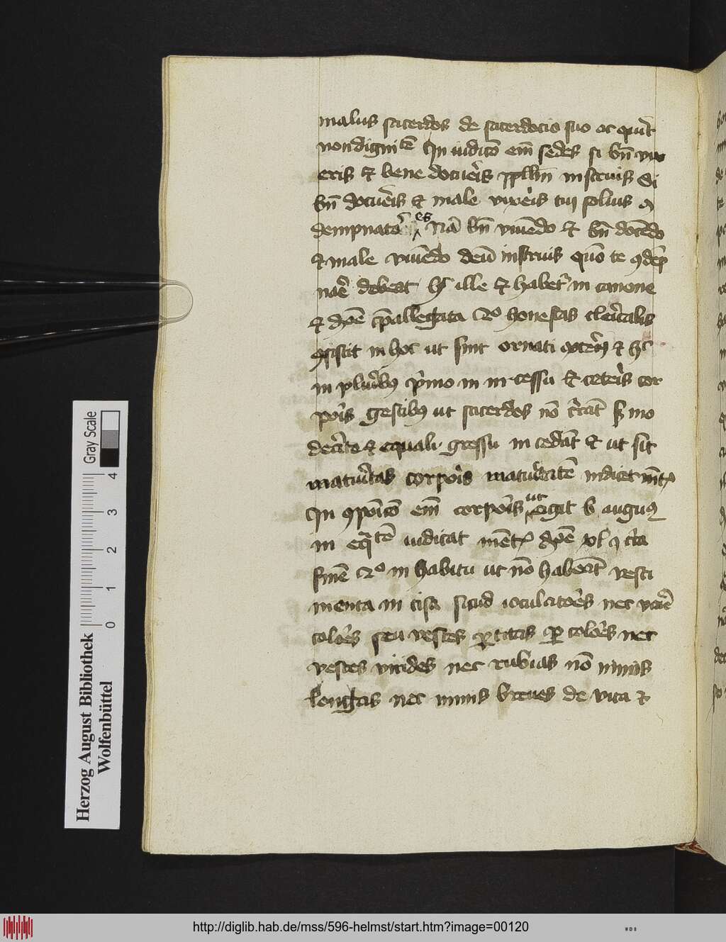 http://diglib.hab.de/mss/596-helmst/00120.jpg