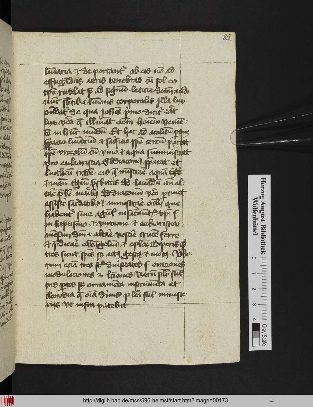 http://diglib.hab.de/mss/596-helmst/00173.jpg