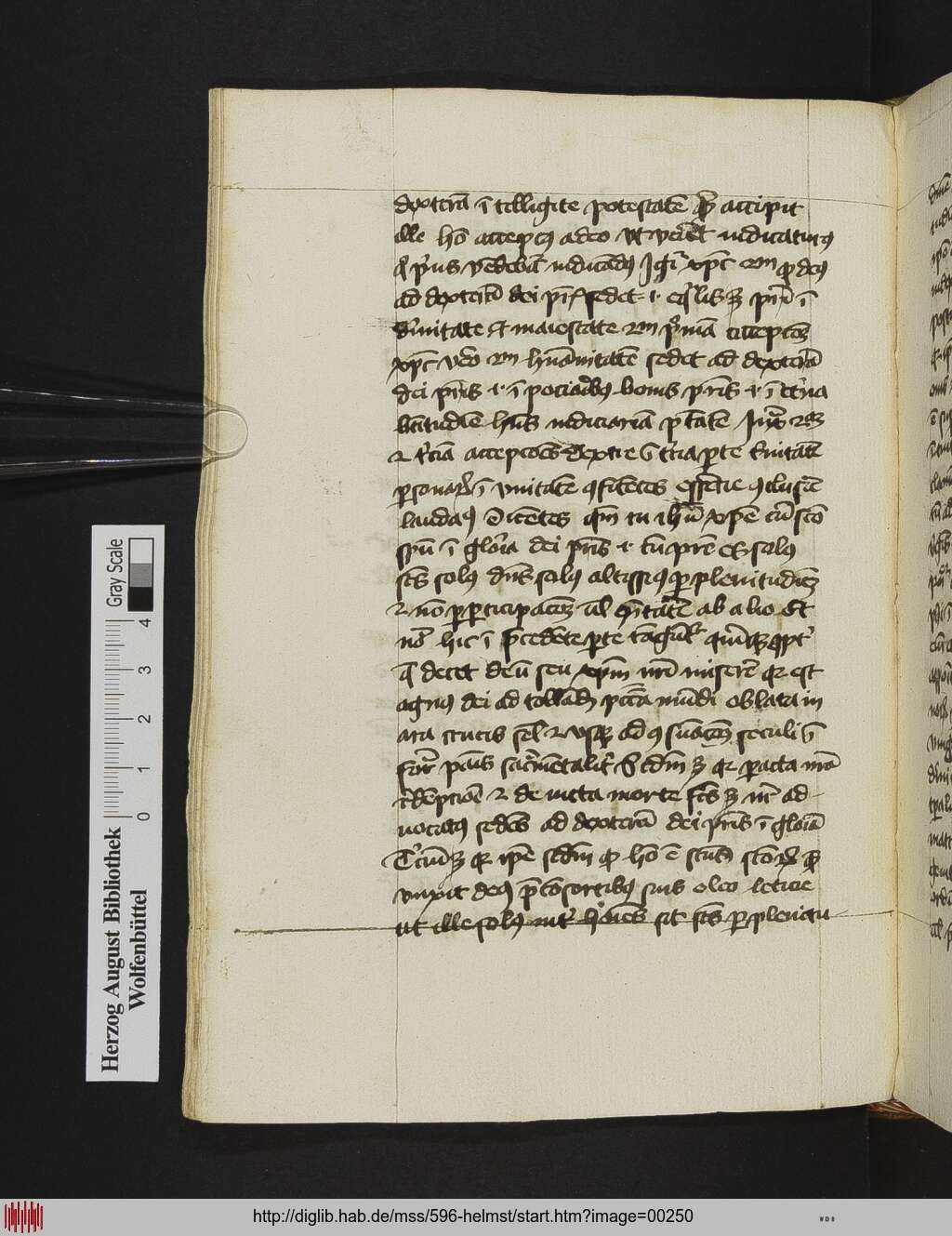 http://diglib.hab.de/mss/596-helmst/00250.jpg