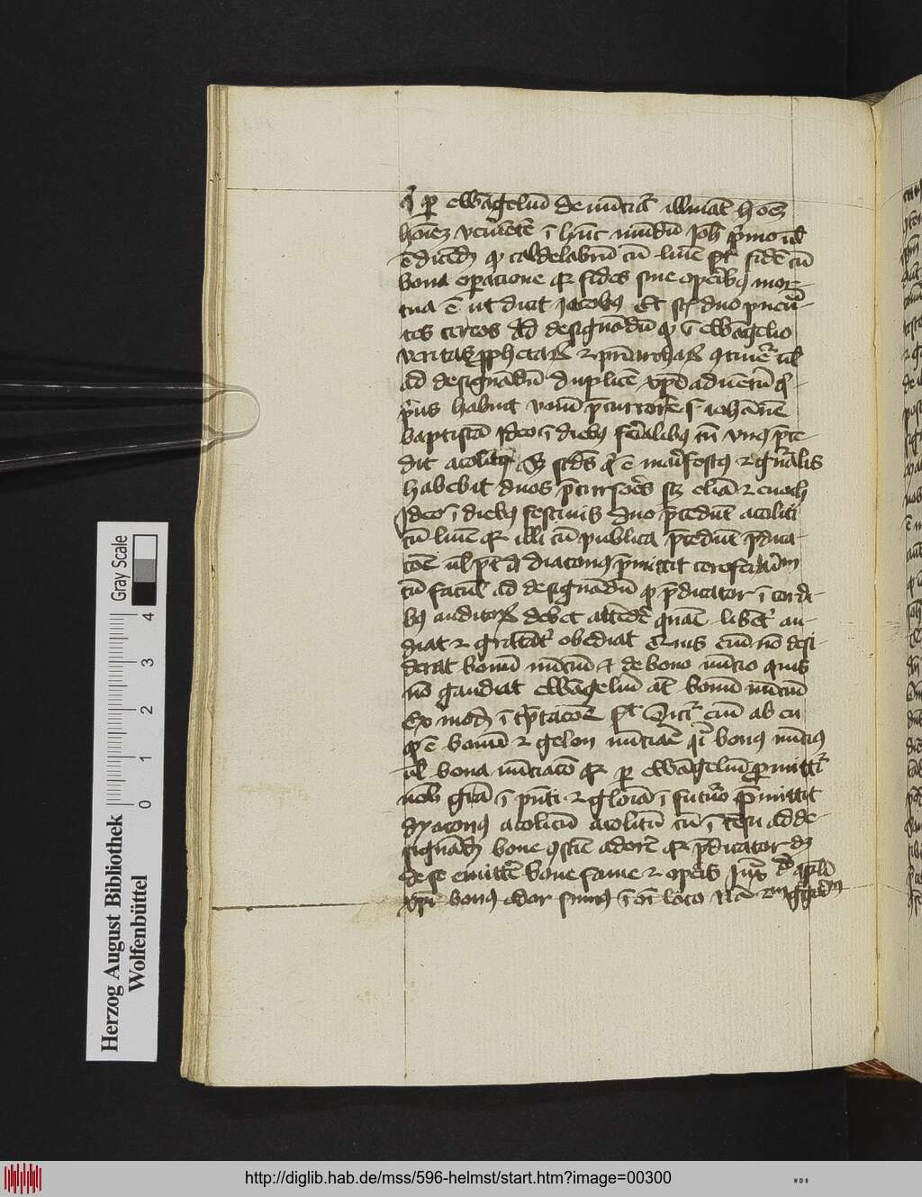http://diglib.hab.de/mss/596-helmst/00300.jpg