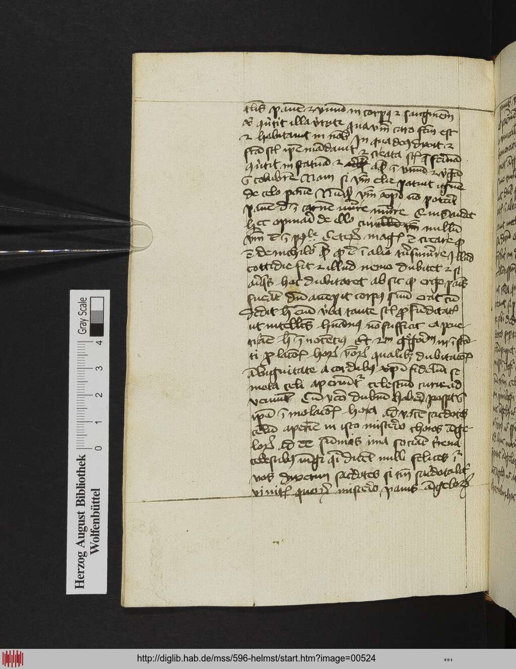 http://diglib.hab.de/mss/596-helmst/00524.jpg