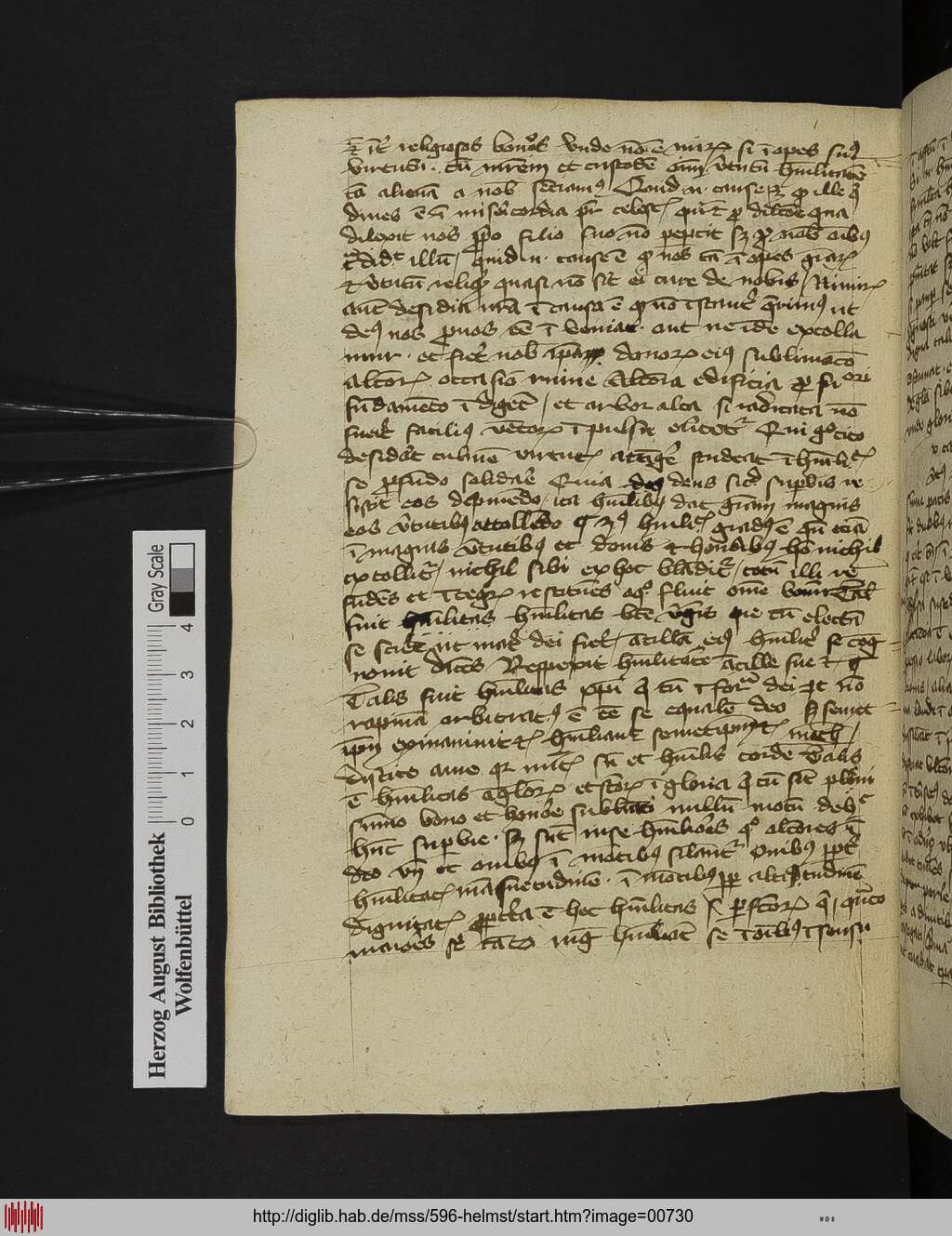 http://diglib.hab.de/mss/596-helmst/00730.jpg