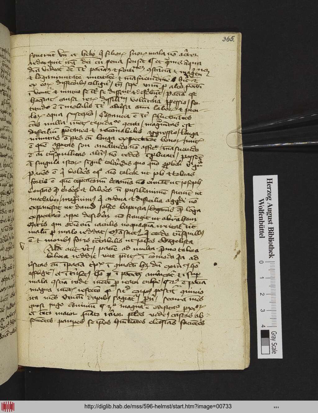 http://diglib.hab.de/mss/596-helmst/00733.jpg