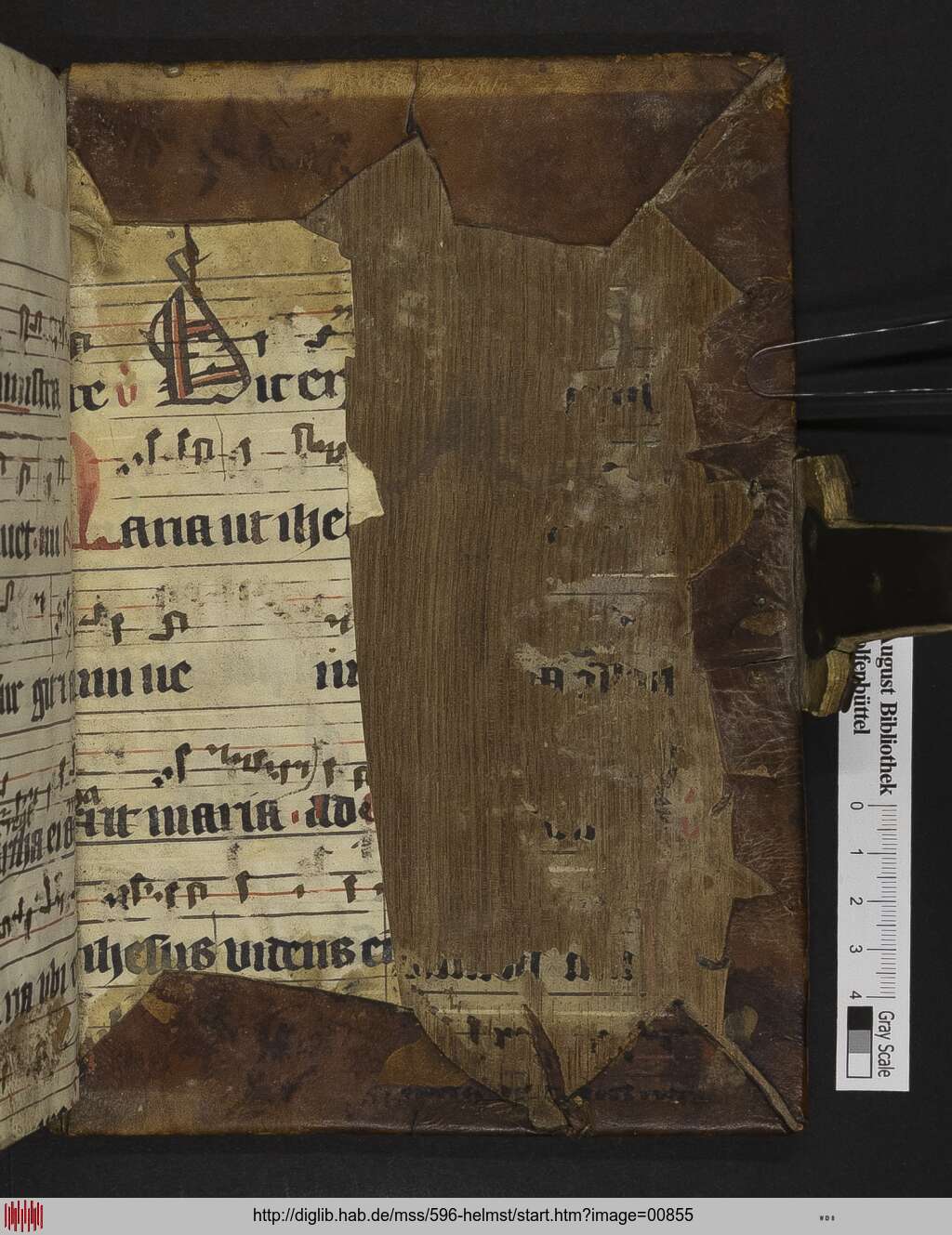 http://diglib.hab.de/mss/596-helmst/00855.jpg