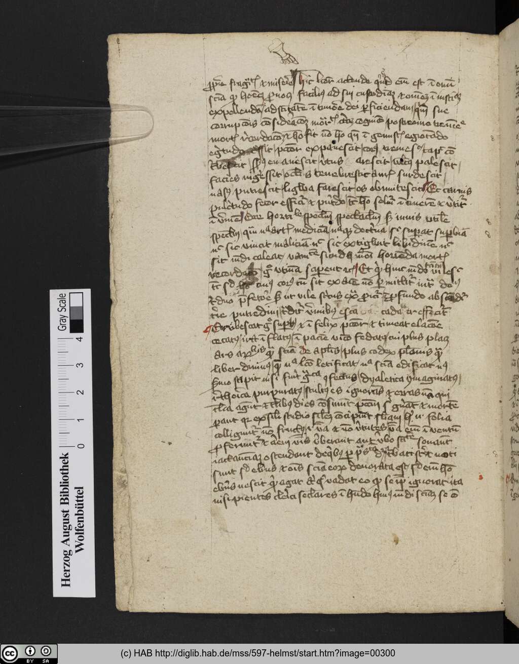 http://diglib.hab.de/mss/597-helmst/00300.jpg
